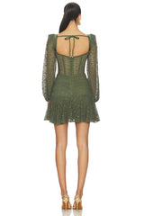 Sirena Mesh Long Sleeve Mini Dress