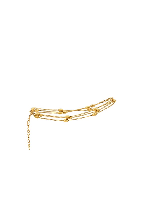 Hugh Anklet