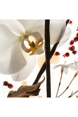 Vanilla Skin Body Oil