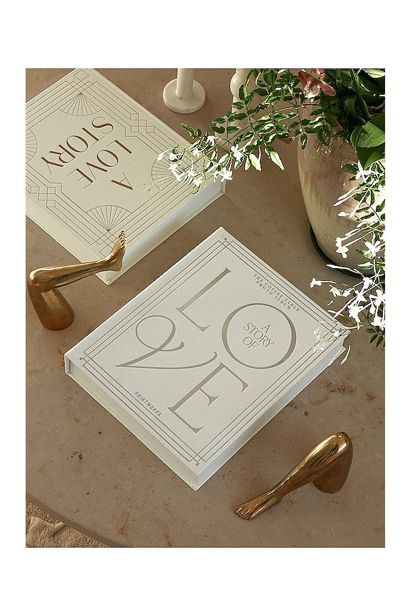 A Love Story Wedding Album
