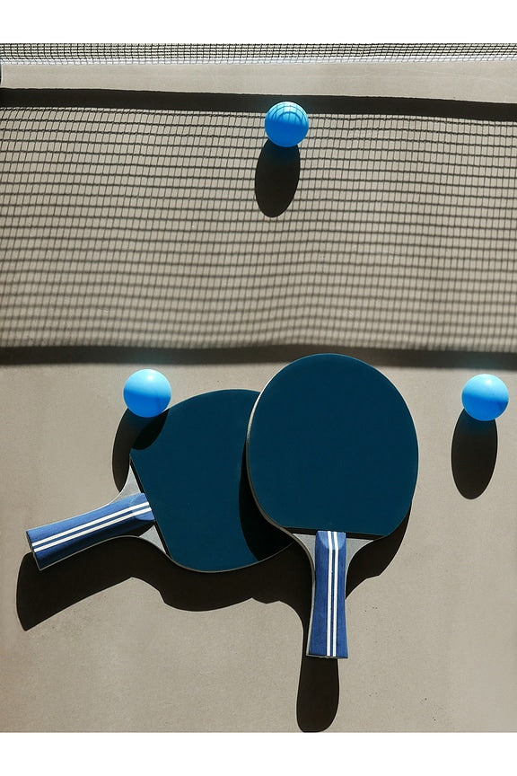 Ping Pong Portable Table Tennis