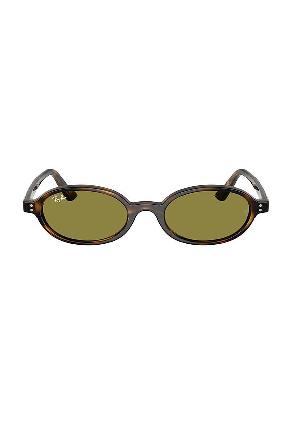 Oval Sunglasses