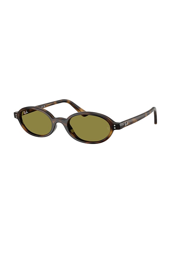 Oval Sunglasses
