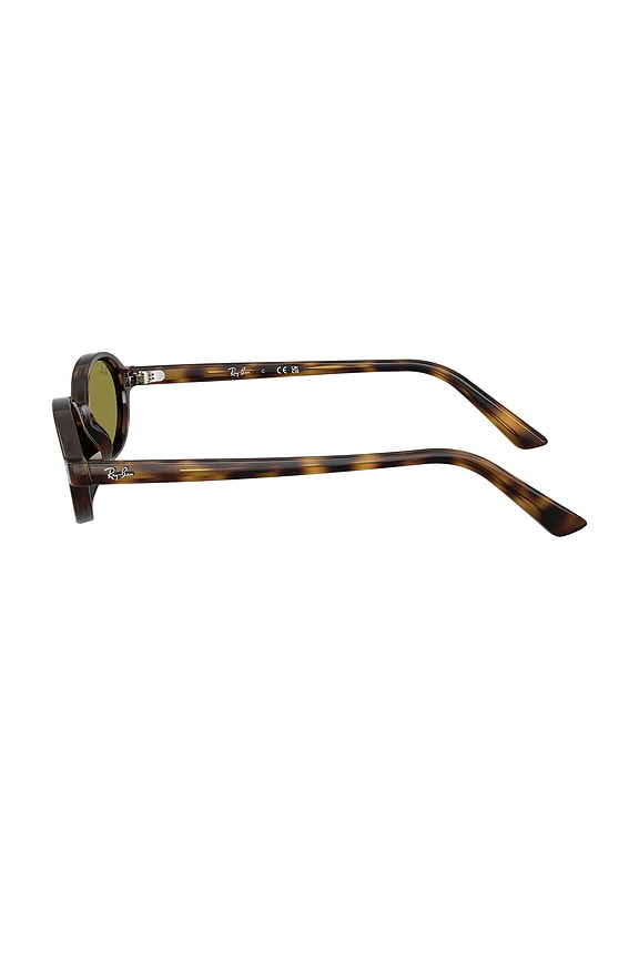 Oval Sunglasses