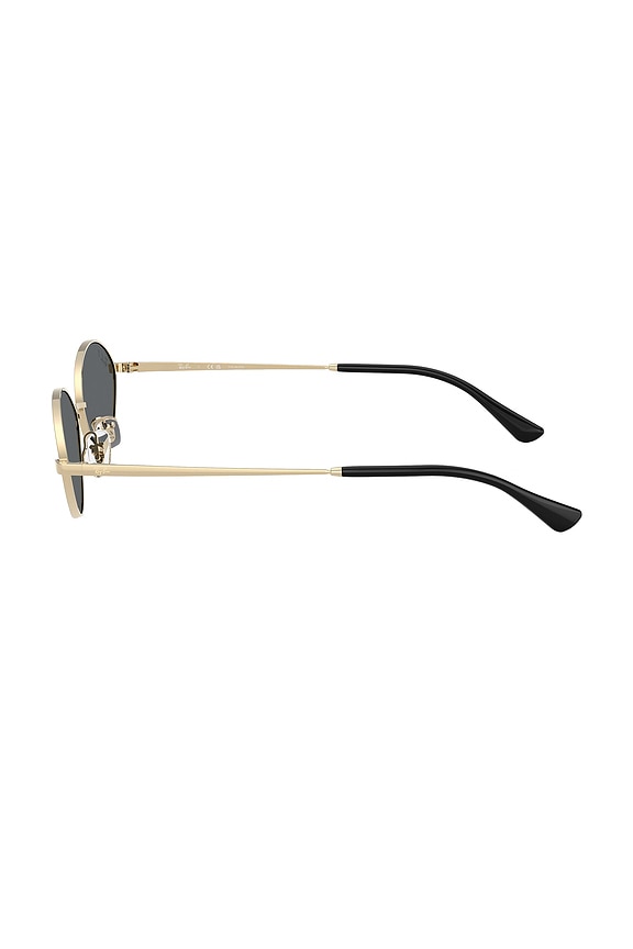 Kai Oval Sunglasses
