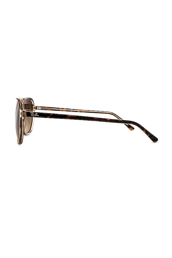 Aviator Sunglasses
