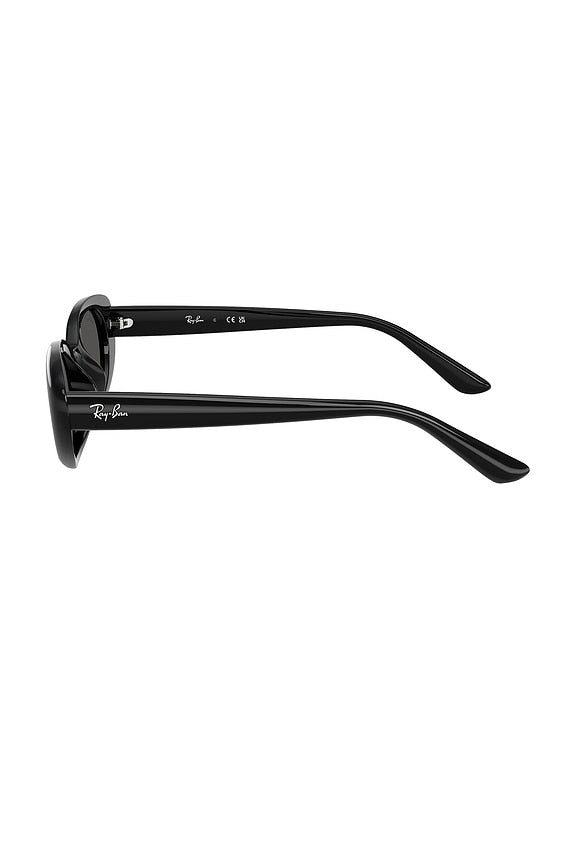 Oval Sunglasses