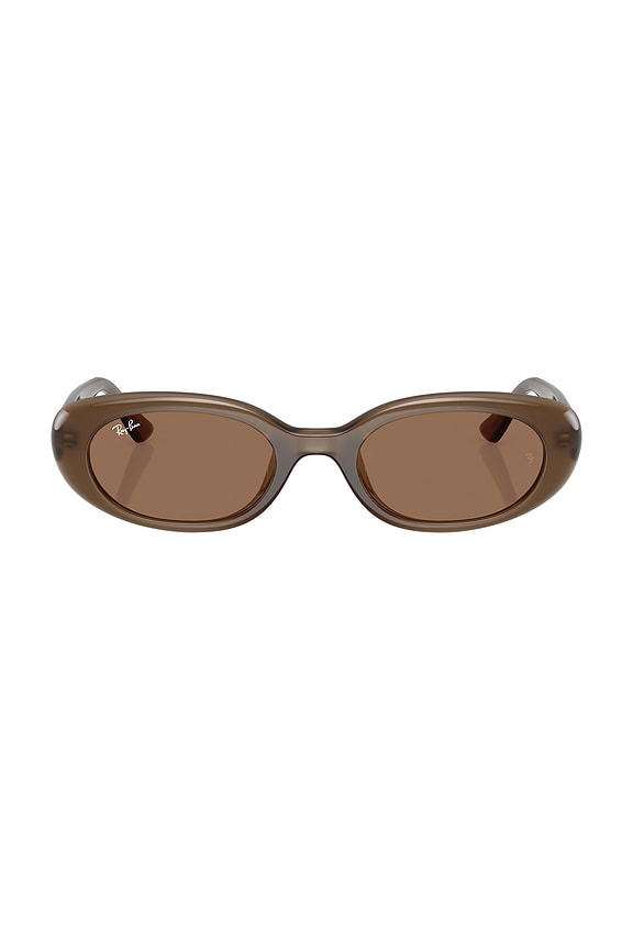 Oval Sunglasses