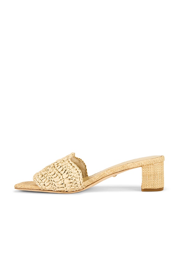 Rajesh Sandal