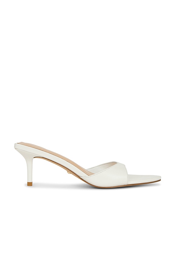 Chad Sandal