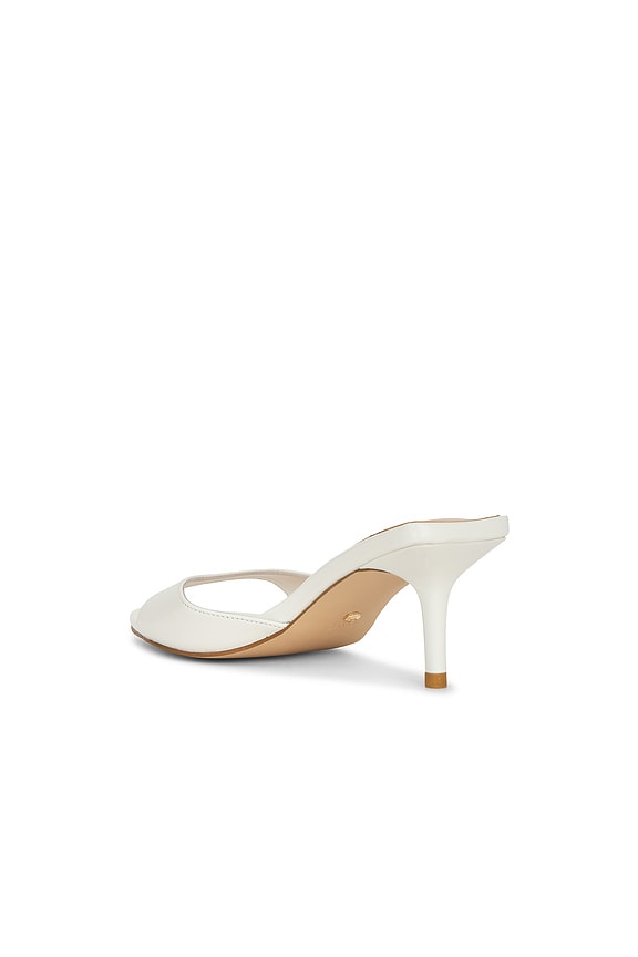 Chad Sandal
