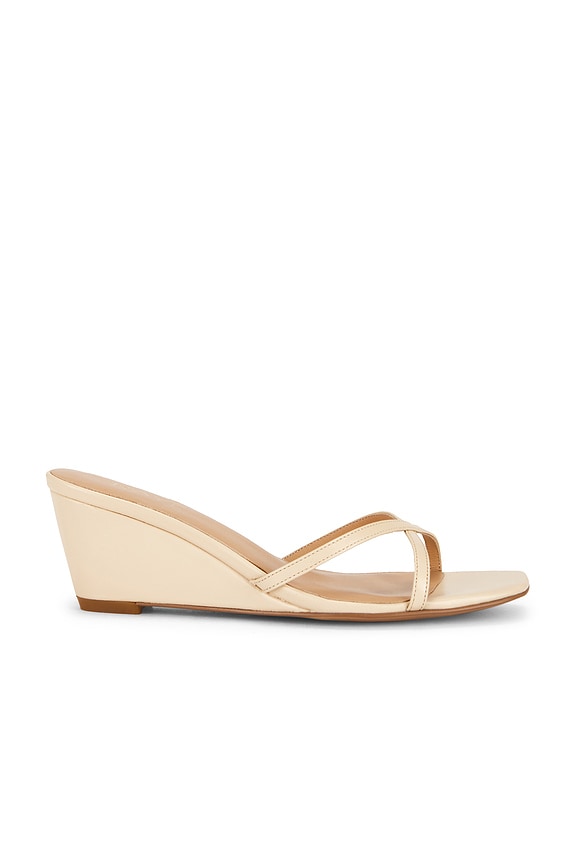 Clarice Wedge
