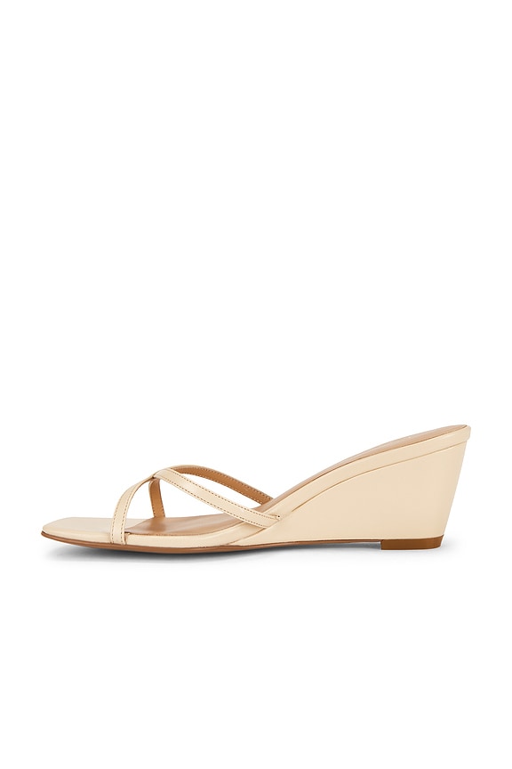 Clarice Wedge