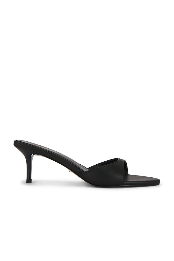 Chad Sandal