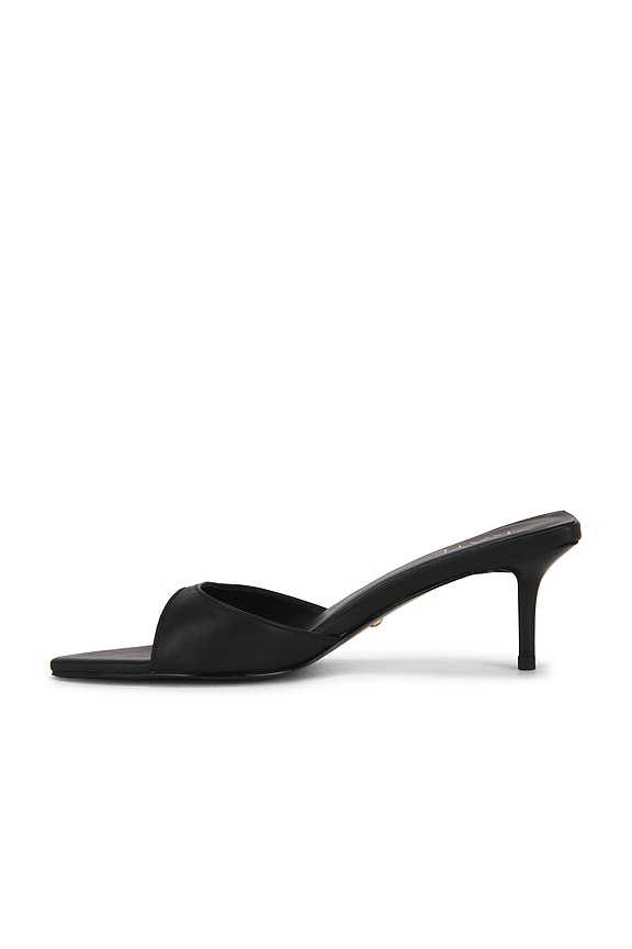 Chad Sandal