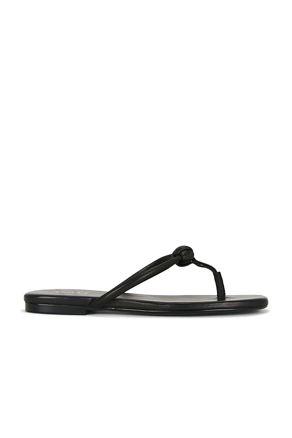Aarav Sandal