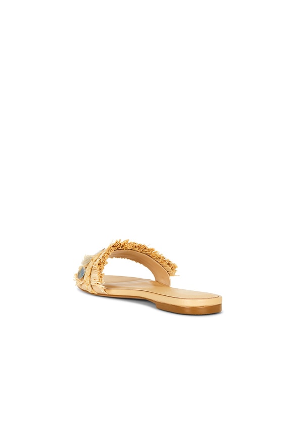 Nomi Sandal