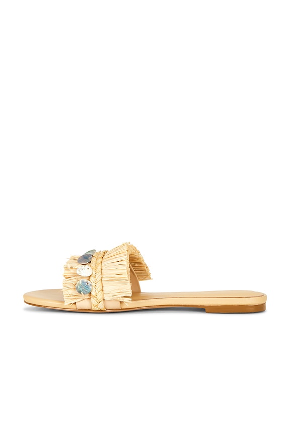Nomi Sandal