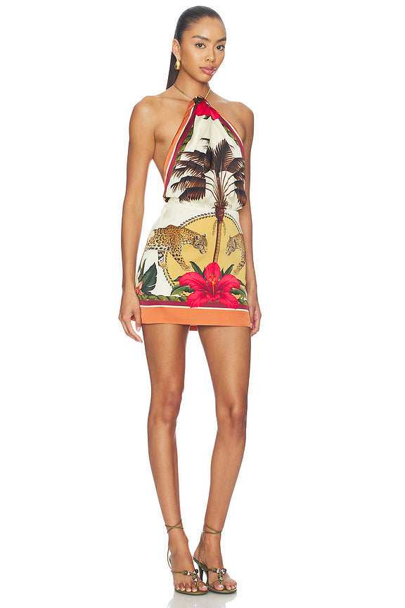 Cymbeline Dress