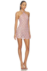 Ninette Embroidered Mini Dress