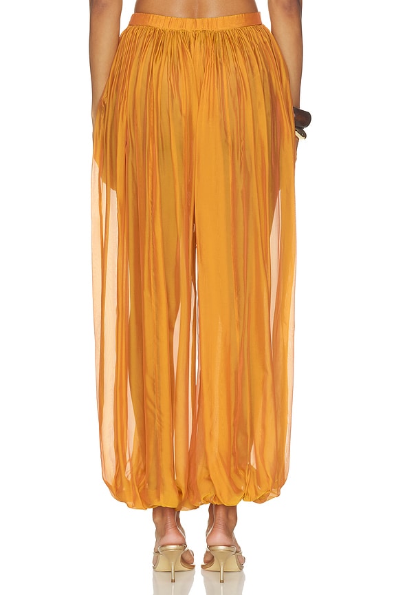 Evolet Chiffon Pant