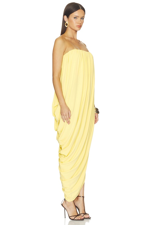 Ophir Dress
