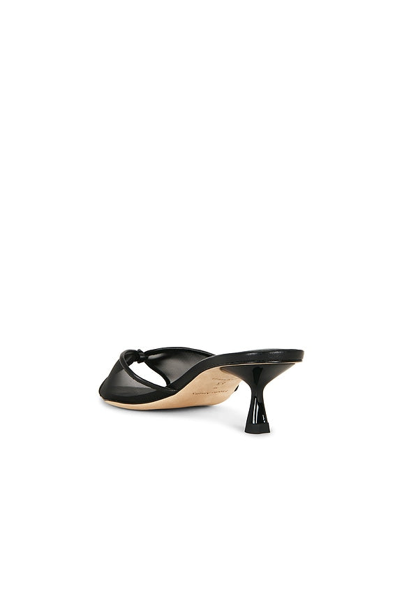 Jacques 50 Mule