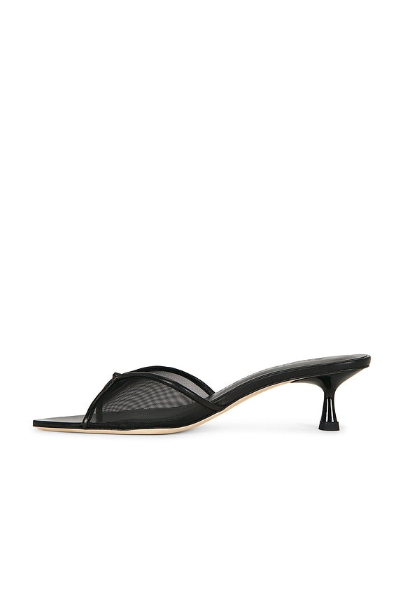 Jacques 50 Mule