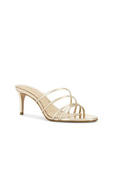 Inez Mule