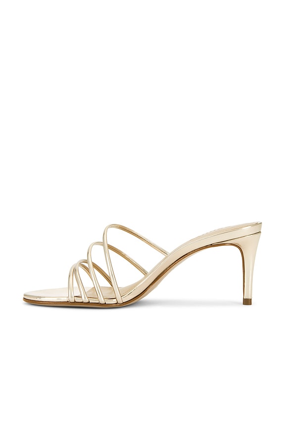 Inez Mule