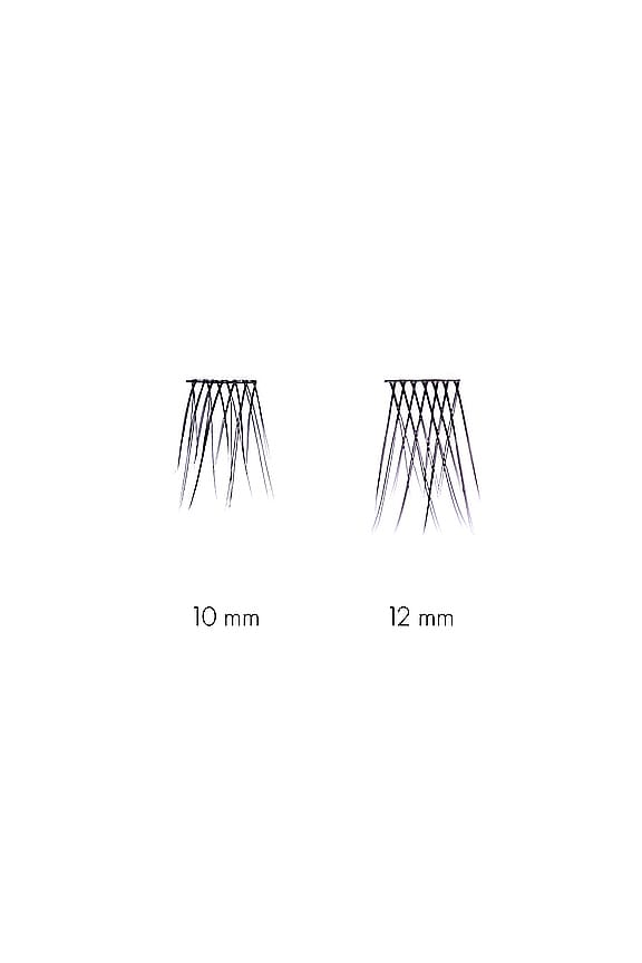 Long No Lash Cluster Duo