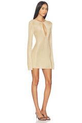 Emeri Metallic Knit Mini Dress