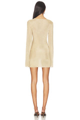Emeri Metallic Knit Mini Dress