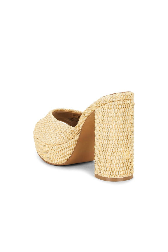 Joel Sandal