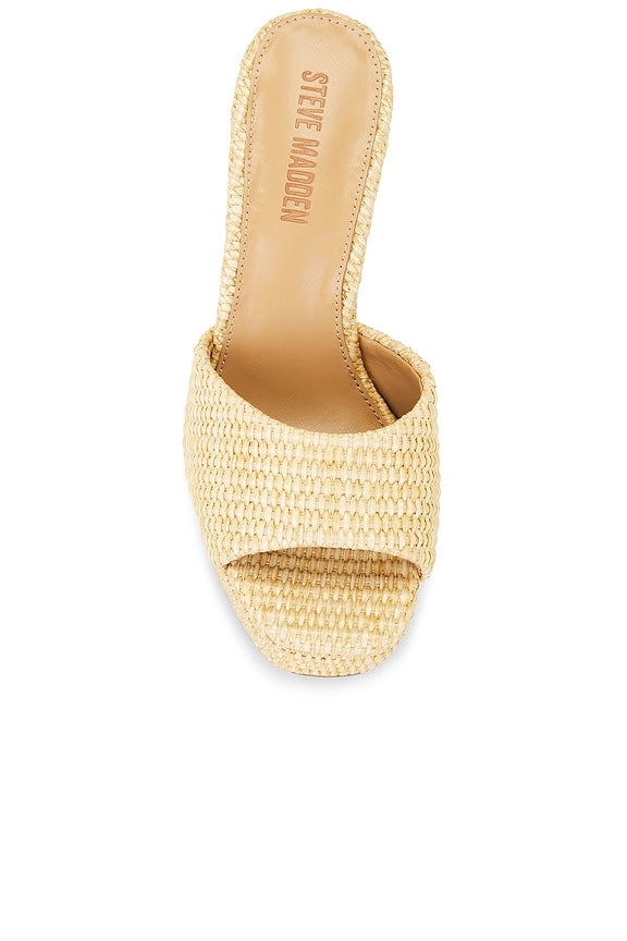 Joel Sandal