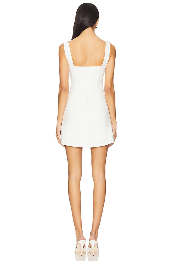 Aneira Mini Dress