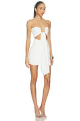 Rosy Mini Dress