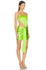 Bronnie Strapless Mini Dress