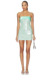 Lilouenn Strapless Mini Dress