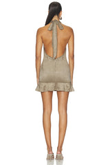Seneca Faux Suede Mini Dress