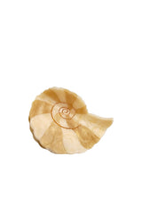 Hand-painted Spiral Shell Claw Hair Clip