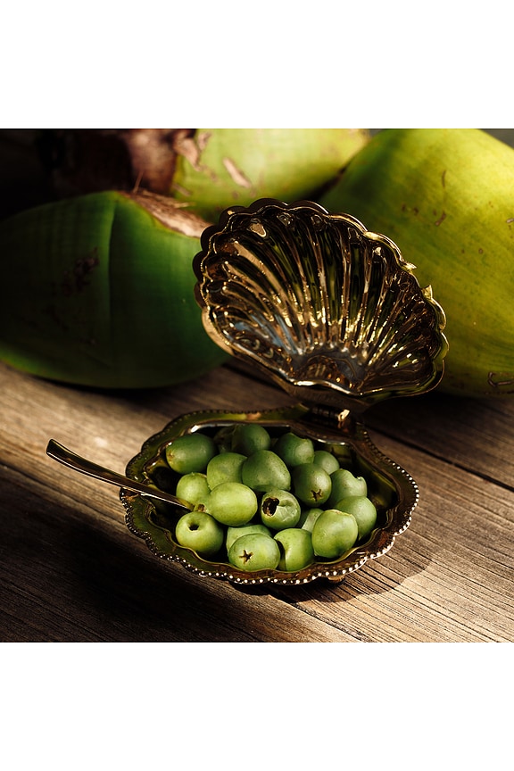 Cap Ferrat Fan Shell Lidded Bowl With Spoon