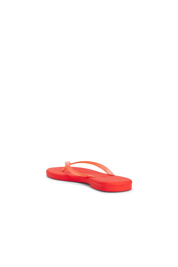 Aqua Flip Flops