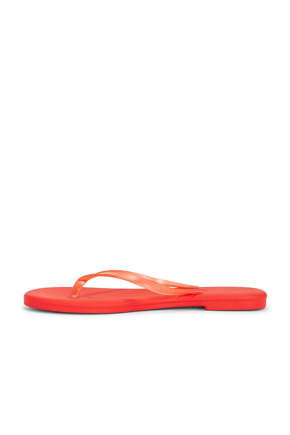Aqua Flip Flops