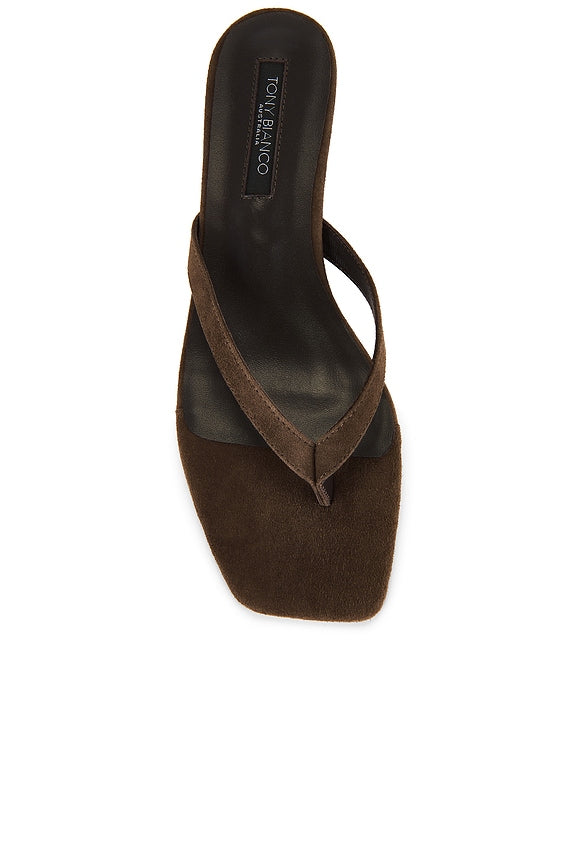 Annie Heel
