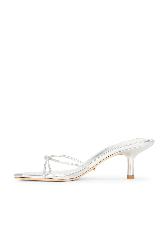 Dana Sandal