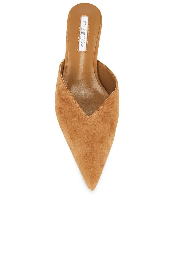 Connie Mule Pump