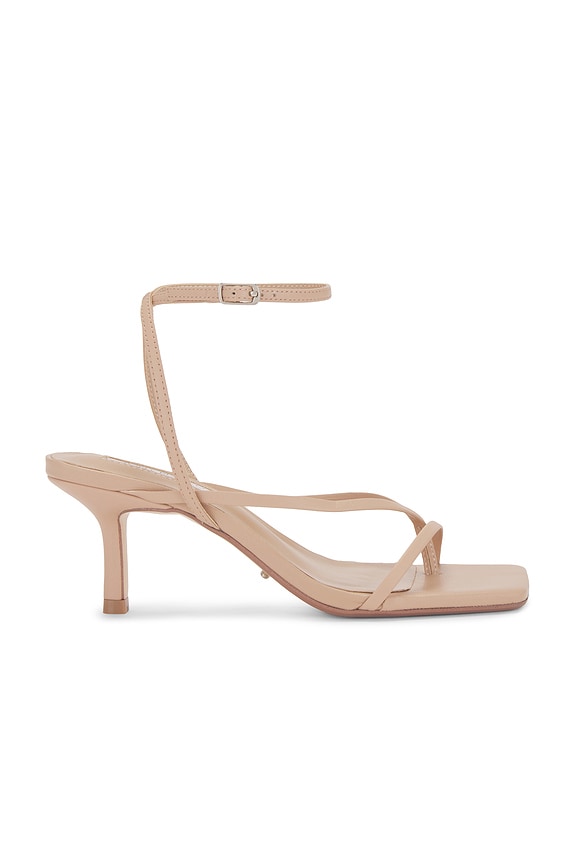Avi Sandal