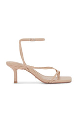 Avi Sandal