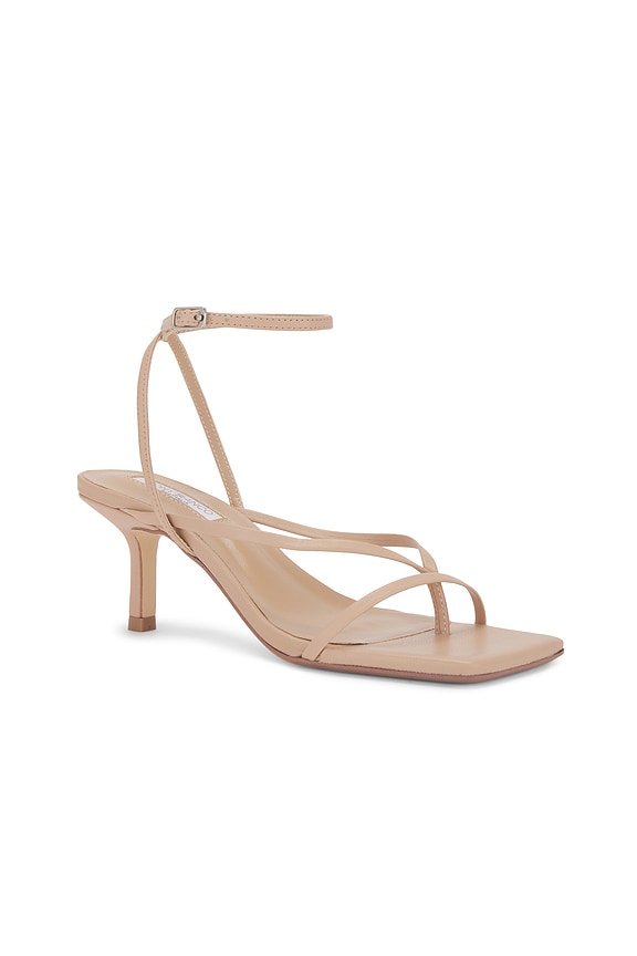 Avi Sandal